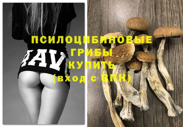 мяу мяу мука Алапаевск