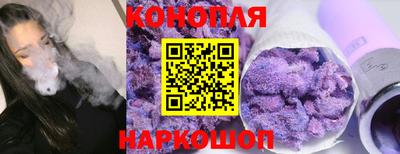 МДПВ Бийск