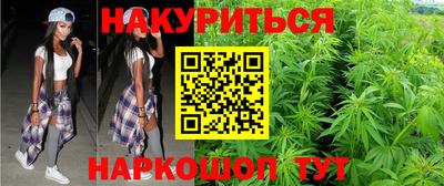 МДПВ Бийск