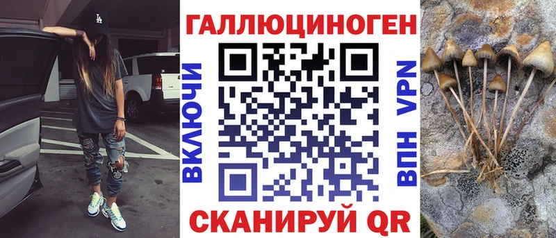Псилоцибиновые грибы Cubensis Вольск