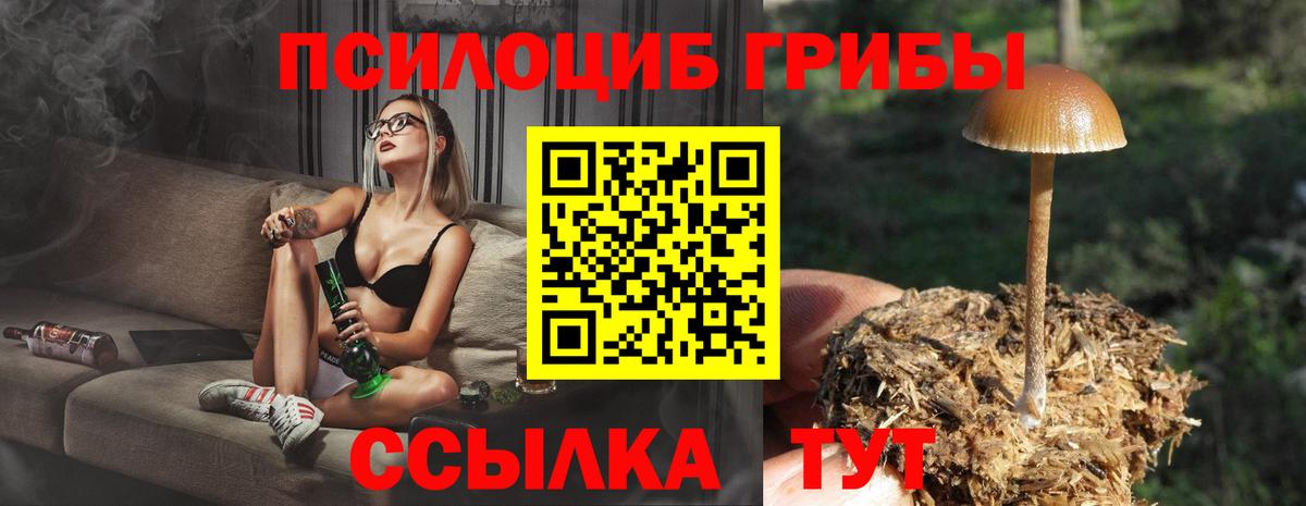 Вольск  Псилоцибиновые грибы прущие грибы  Вход с VPN 